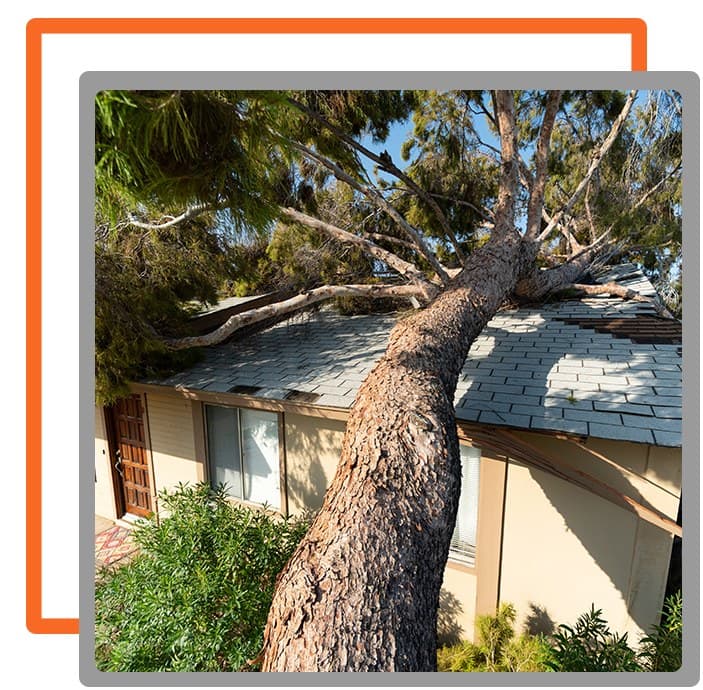 How To Know Whether To Repair Patch Or Replace Your Roof