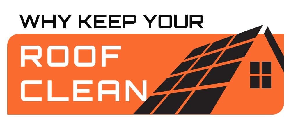 Is it Necessary to Clean Your Roof?