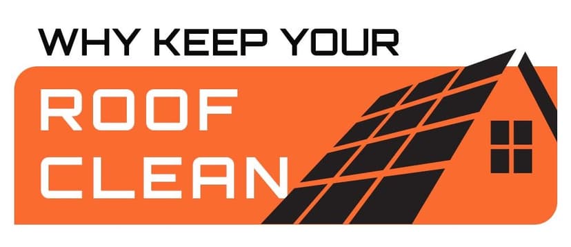 Is it Necessary to Clean Your Roof?