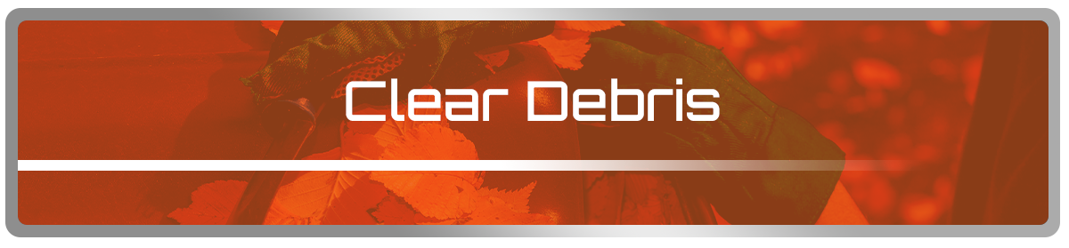 Clear Debris
