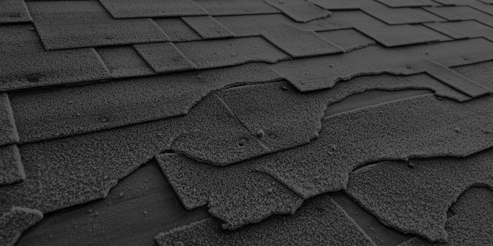 hero-shingle