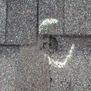 asphalt shingles with marked hail damage