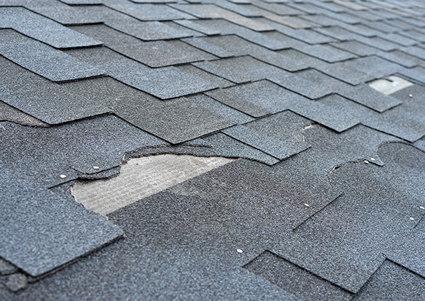 damaged shingles