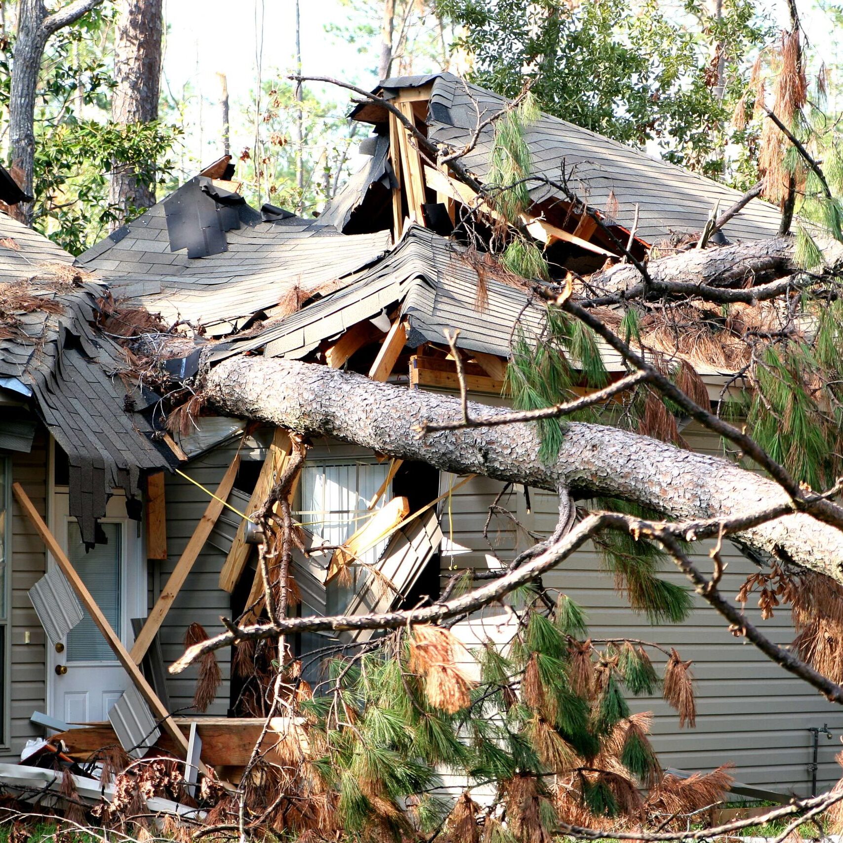 A tree is blown over to hit a house during hurricane Katrina.